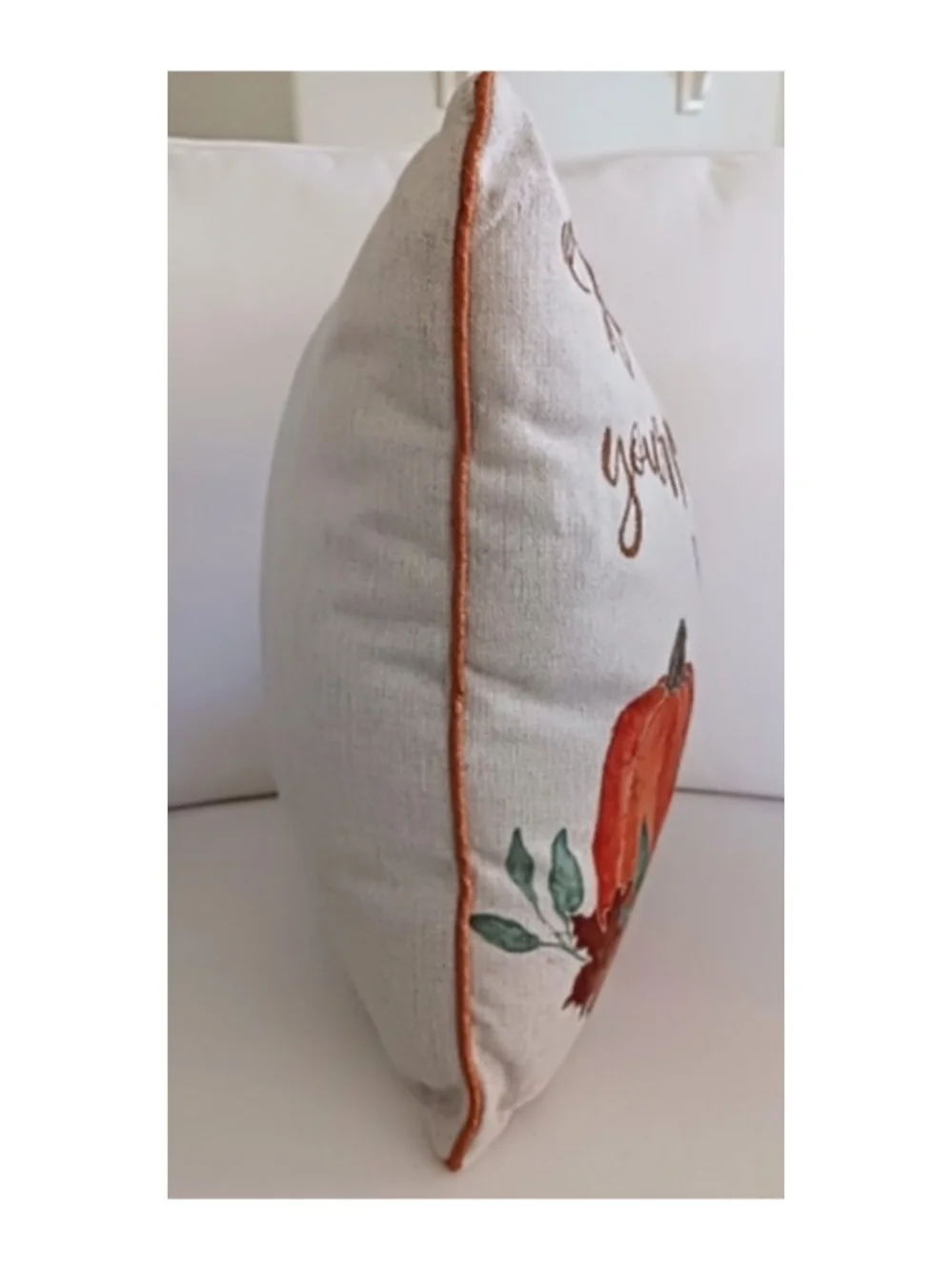 🍁Autumn Pumpkin Accent Pillow 16